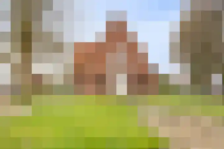 Deldensestraat 74 a Borne thumbnail 35
