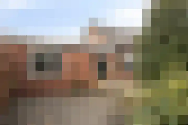 Deldensestraat 74 a Borne thumbnail 7