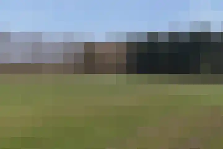 Delerweg 9 Hoenderloo thumbnail 7