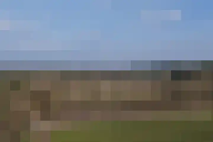 Delerweg 9 Hoenderloo thumbnail 9