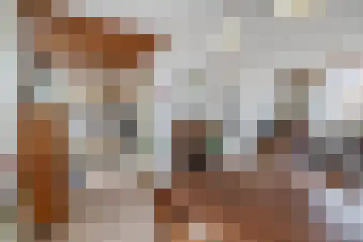 Delflandstraat 76 Nootdorp thumbnail 8