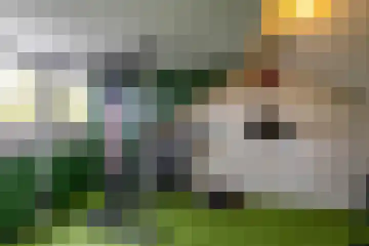 Delfstraat 37 Loppersum thumbnail 35