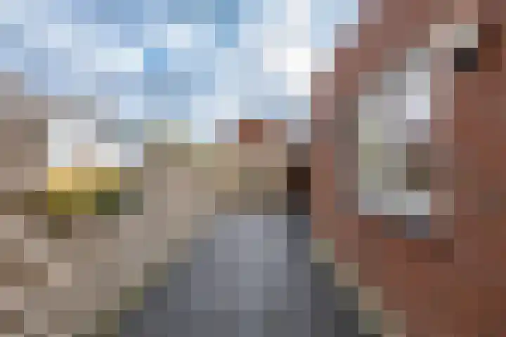 Delfstraat 37 Loppersum thumbnail 39