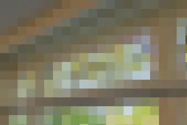 Delftlaan 221 Haarlem thumbnail 16