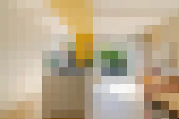 Delftlaan 221 Haarlem thumbnail 23