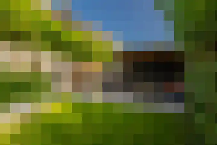 Delftlaan 221 Haarlem thumbnail 36