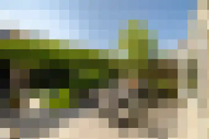 Delftlaan 221 Haarlem thumbnail 4