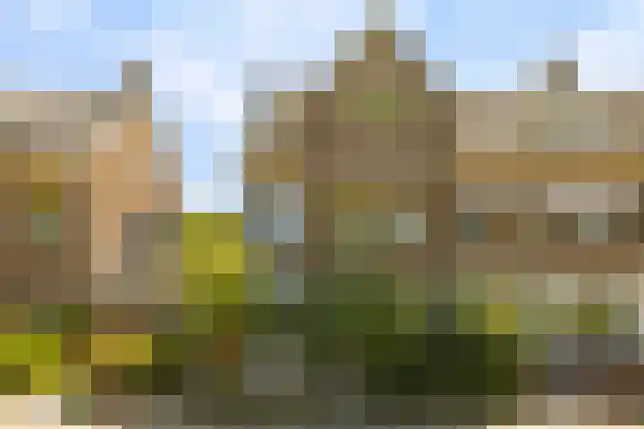Delftlaan 221 Haarlem thumbnail 5