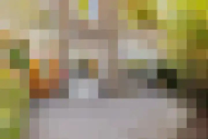 Delftlaan 221 Haarlem thumbnail 6