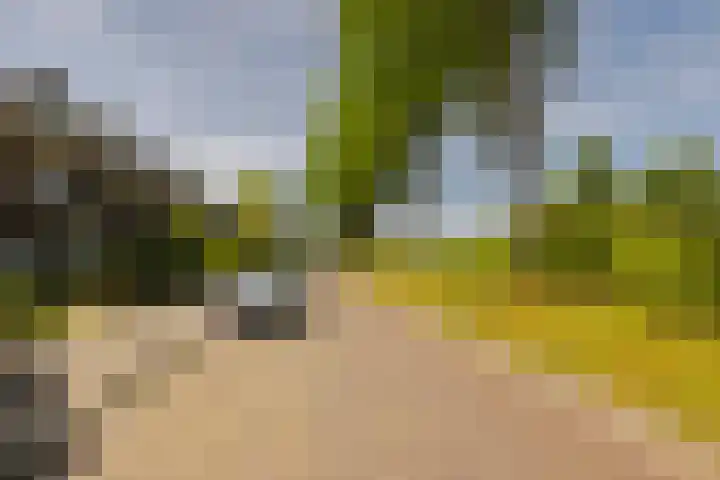 Delftlaan 221 Haarlem thumbnail 71
