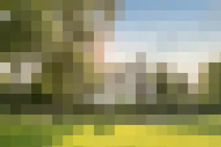 Delftlaan 221 Haarlem thumbnail 73