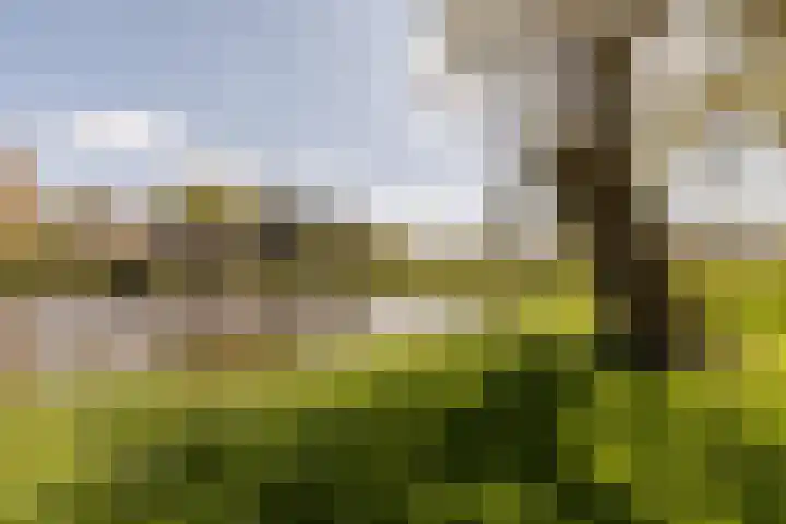 Delftlaan 221 Haarlem thumbnail 74