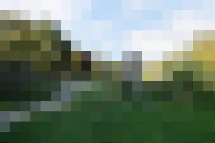 Delftlaan 221 Haarlem thumbnail 77
