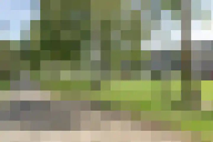 Delftlaan 355 Haarlem thumbnail 30