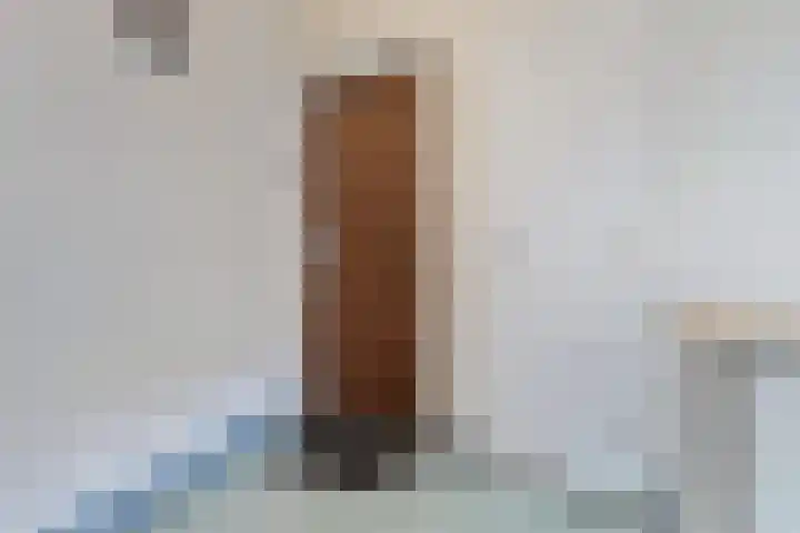 Delftlaan 355 Haarlem thumbnail 5