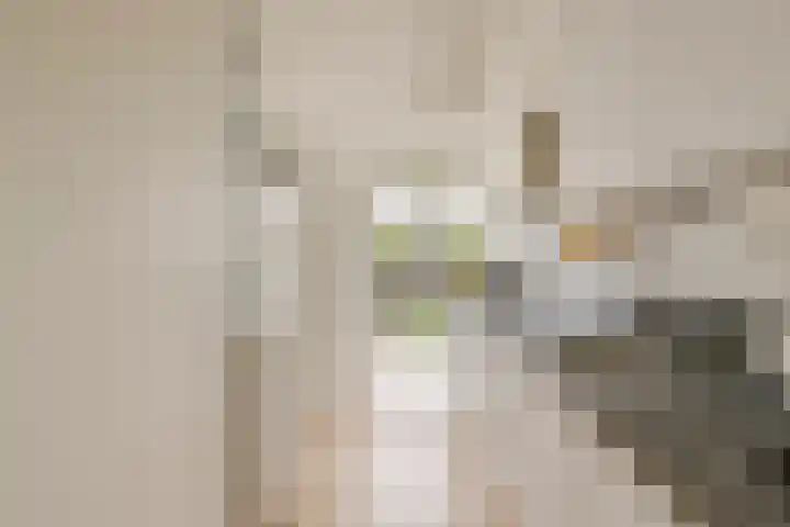 Delftlaan 435 II Haarlem thumbnail 14