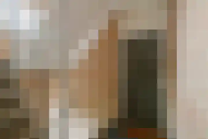 Delftlaan 435 II Haarlem thumbnail 27