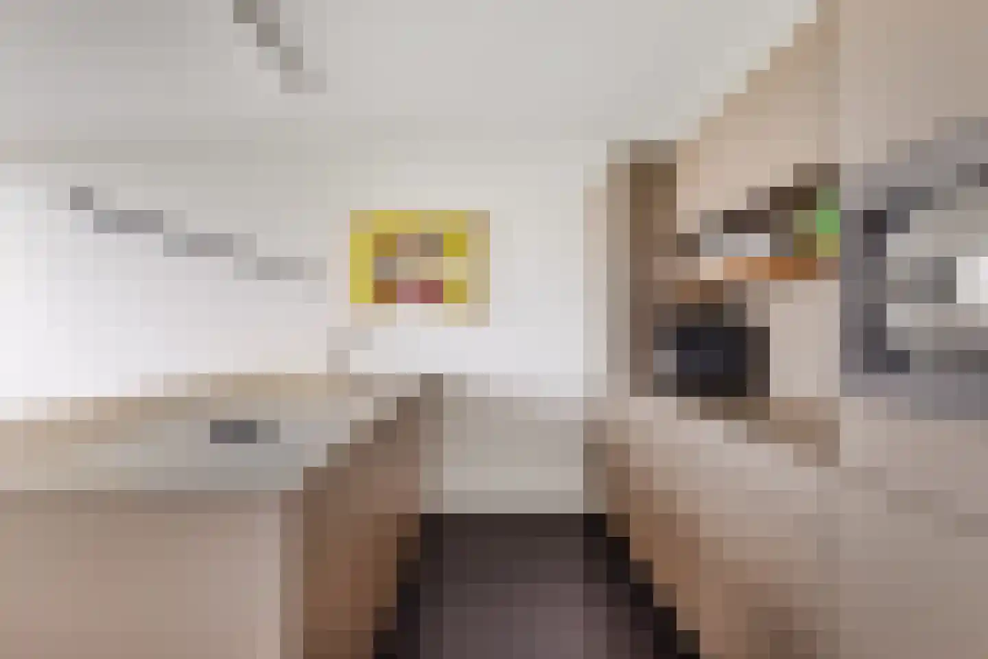 Delftse Jaagpad 42 Leiden thumbnail 10