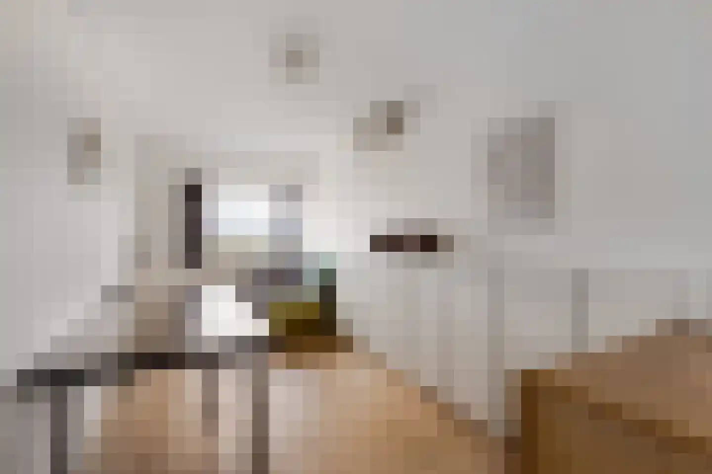 Delftse Jaagpad 42 Leiden thumbnail 16