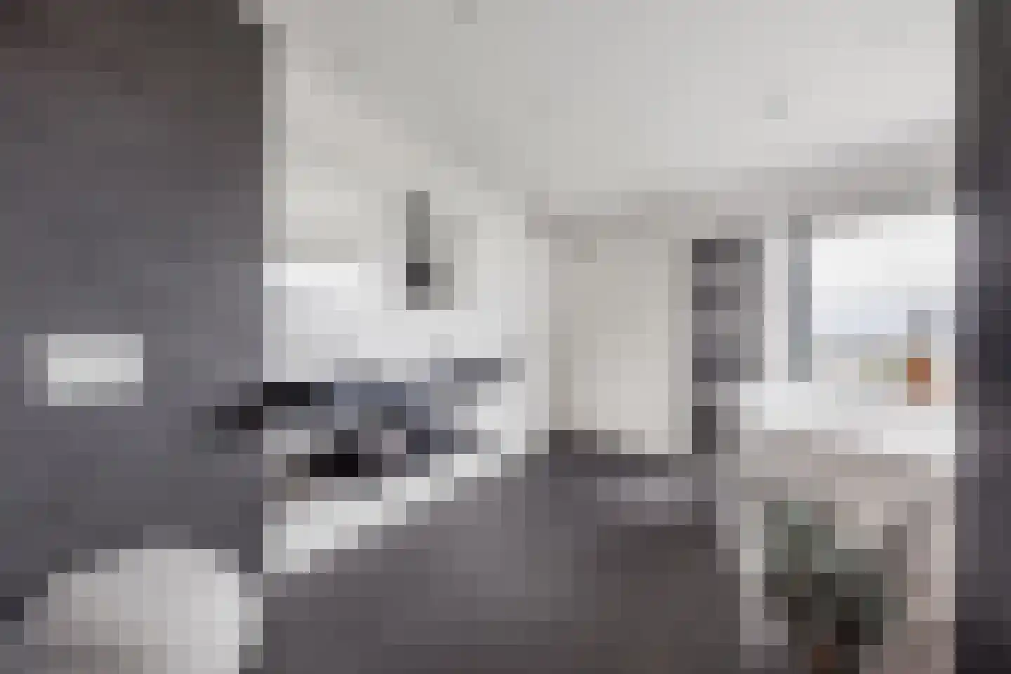 Delftse Jaagpad 42 Leiden thumbnail 17