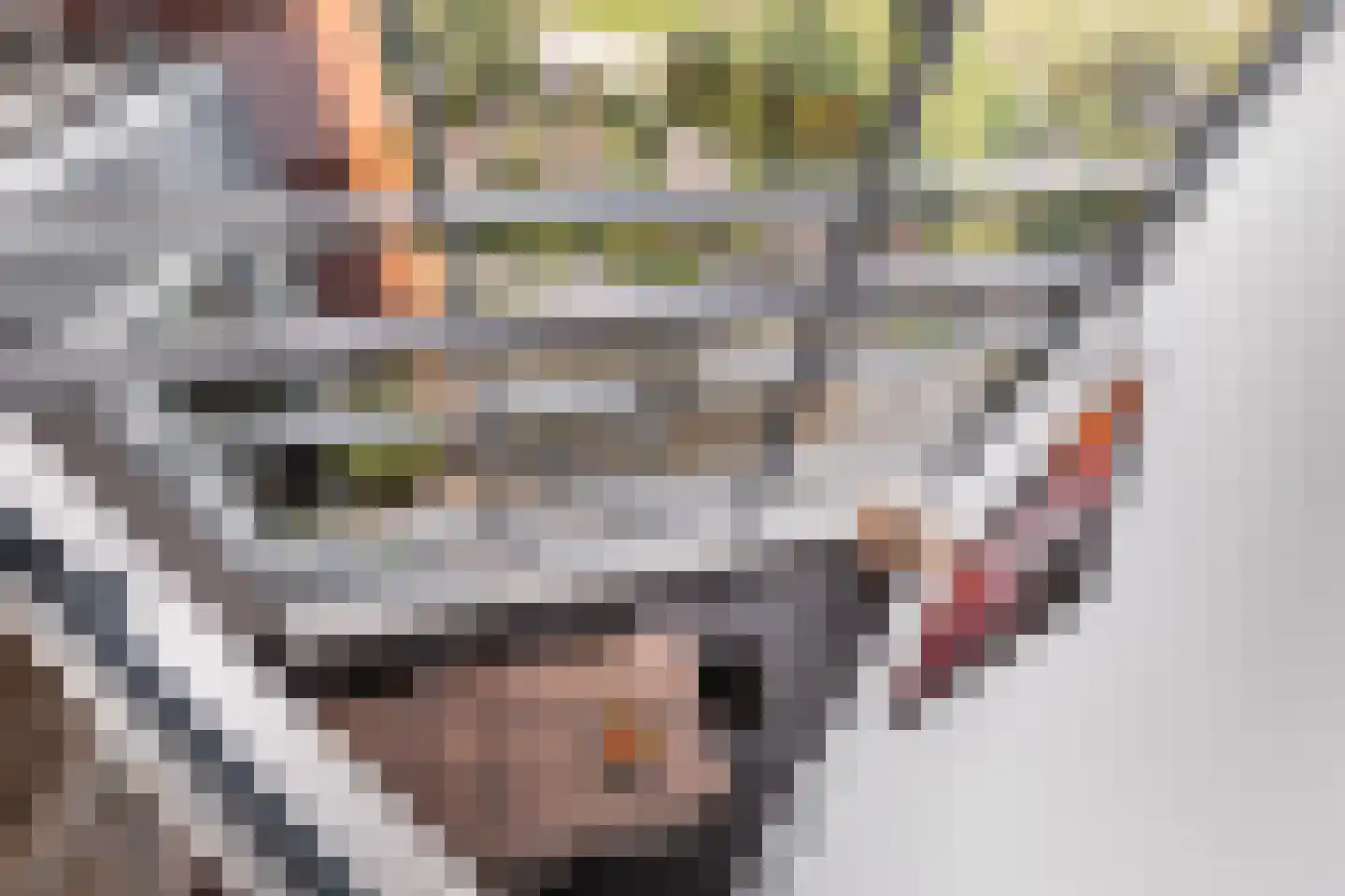 Delftse Jaagpad 42 Leiden thumbnail 23