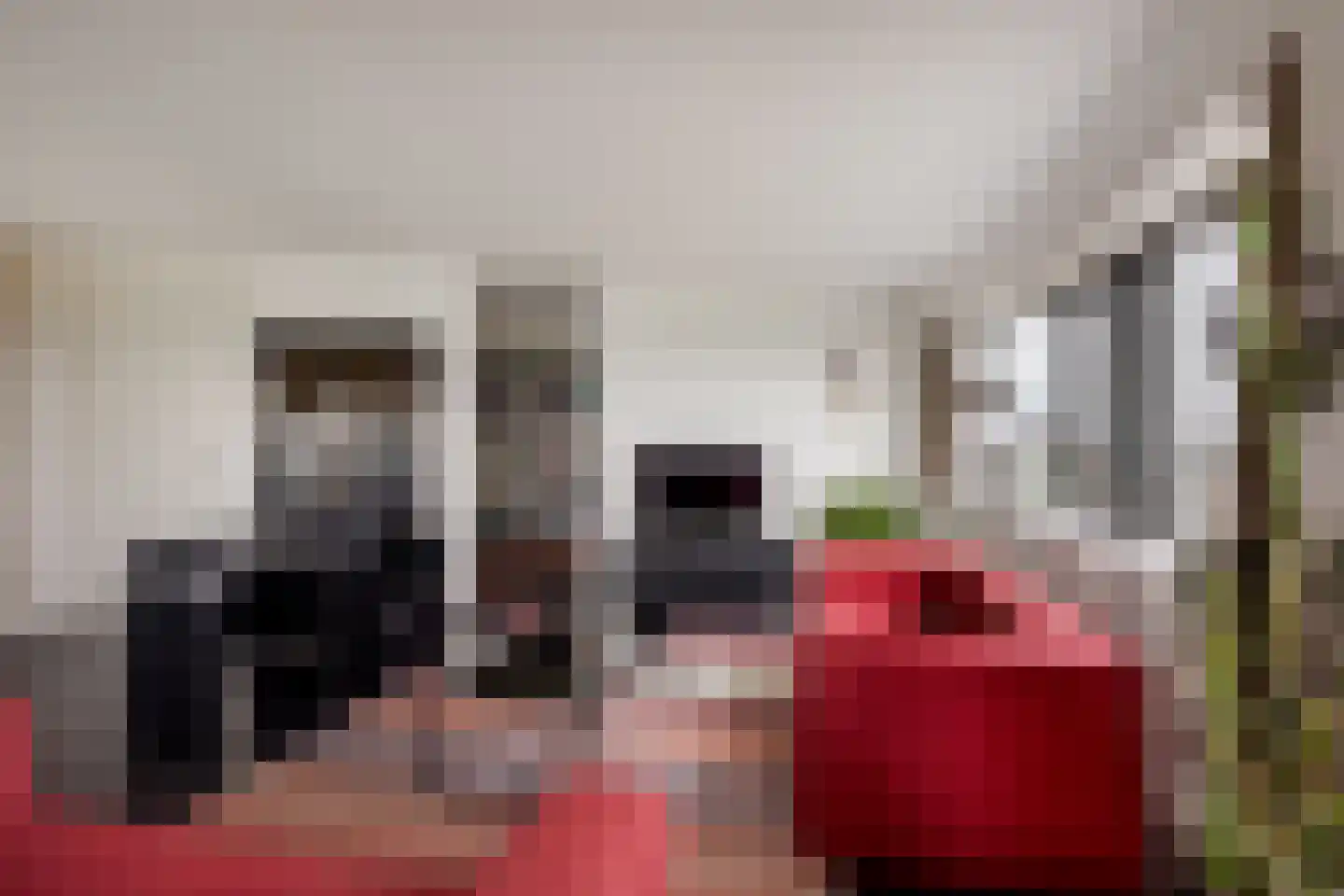 Delftse Jaagpad 42 Leiden thumbnail 5