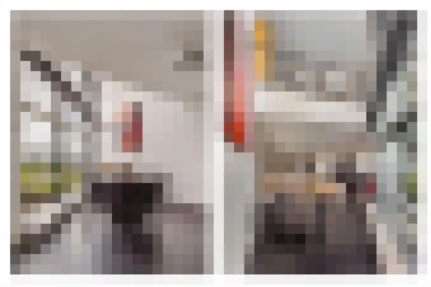 Delftse Jaagpad 42 Leiden thumbnail 8