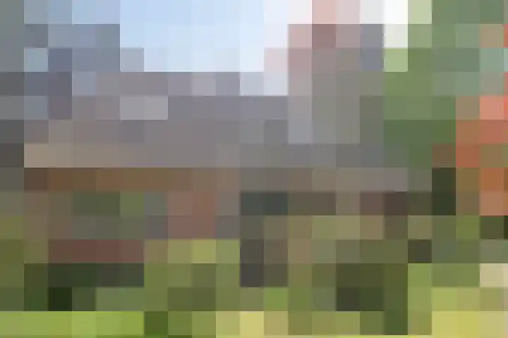 Dellenparkweg 11 Epe thumbnail 27