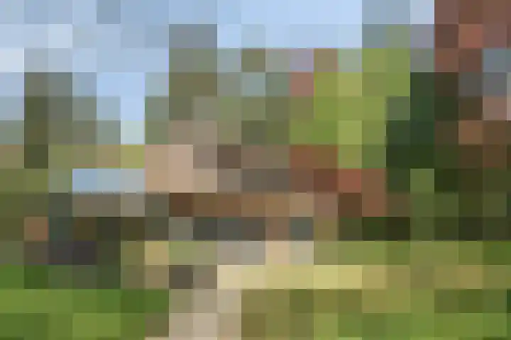 Dellenparkweg 11 Epe thumbnail 4