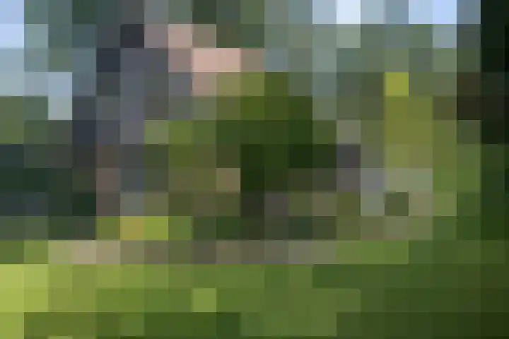 Dellenweg 2 Epe thumbnail 5