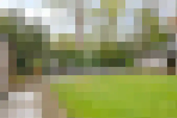 Dellenweg 2 Epe thumbnail 50