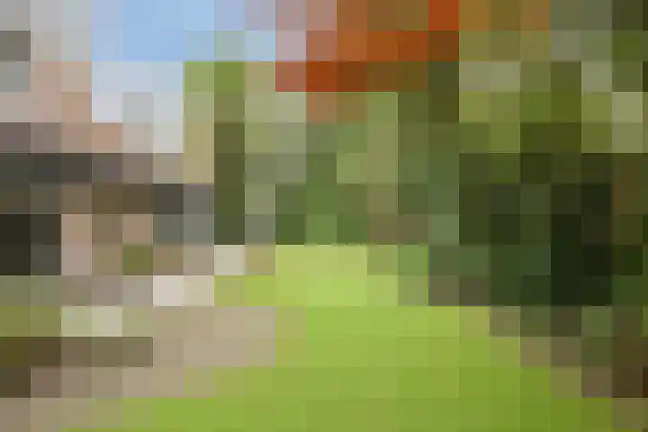 Dellenweg 2 Epe thumbnail 57