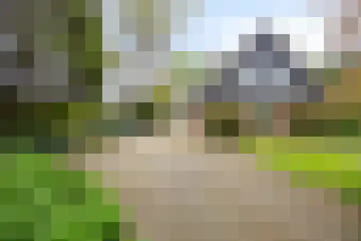 Dellenweg 2 Epe thumbnail 62