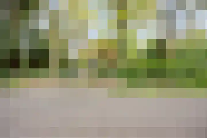 Dellenweg 2 Epe thumbnail 65