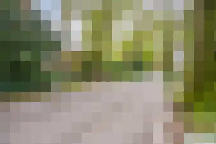 Dellenweg 2 Epe thumbnail 66