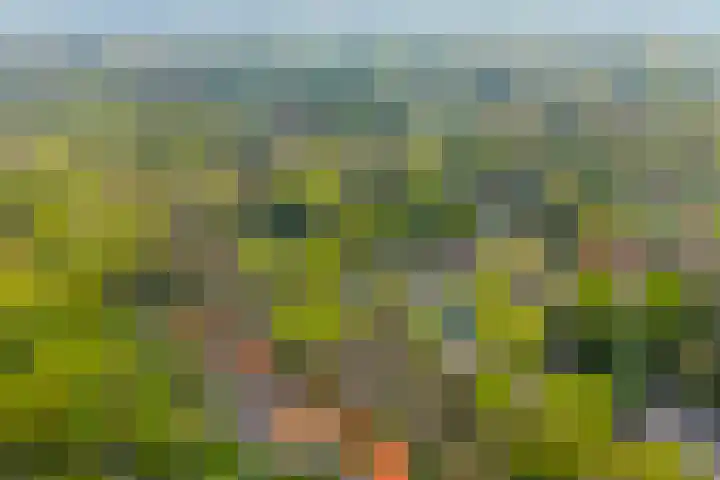Dellenweg 2 Epe thumbnail 68