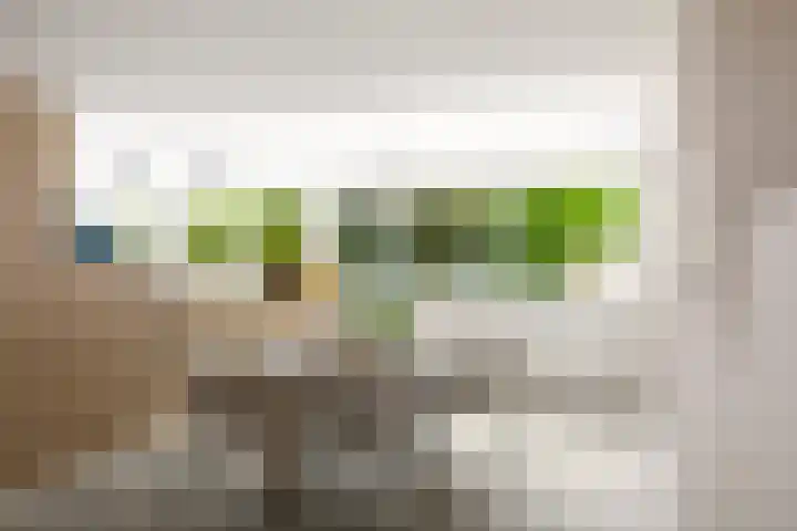 Dellenweg 6 Epe thumbnail 13