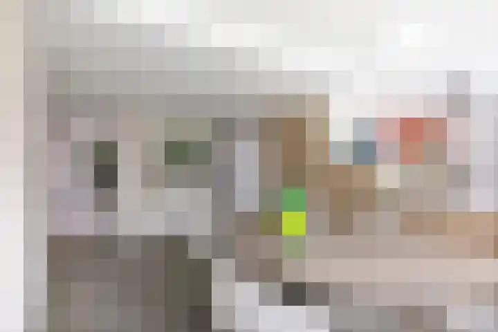 Dellenweg 6 Epe thumbnail 15