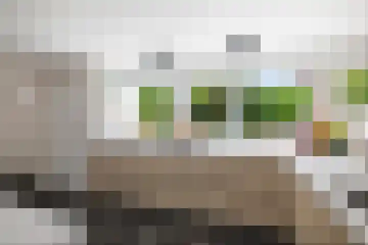 Dellenweg 6 Epe thumbnail 16
