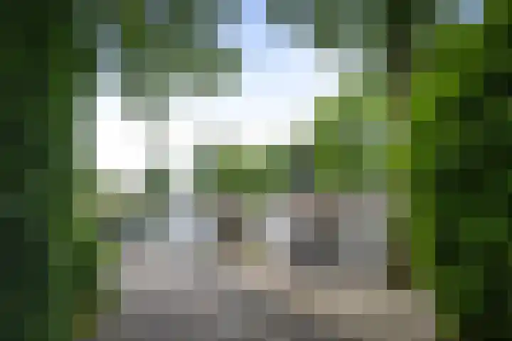 Dellenweg 6 Epe foto 3