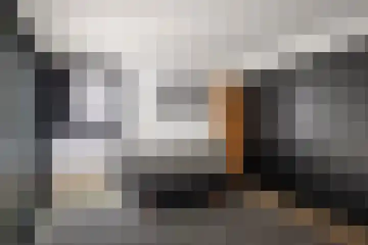 Dellenweg 6 Epe thumbnail 32