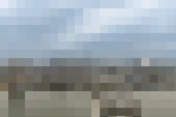 Dellenweg 6 Epe thumbnail 33