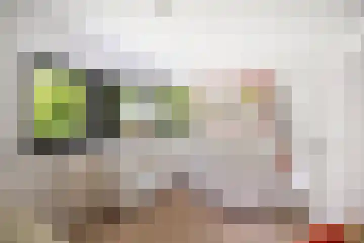 Dellenweg 6 Epe thumbnail 34