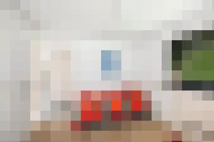Dellenweg 6 Epe thumbnail 35