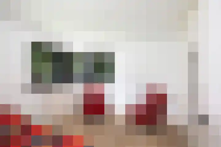 Dellenweg 6 Epe thumbnail 36