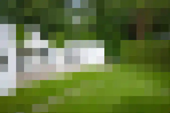 Dellenweg 6 Epe thumbnail 40