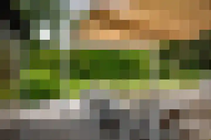 Dellenweg 6 Epe thumbnail 41