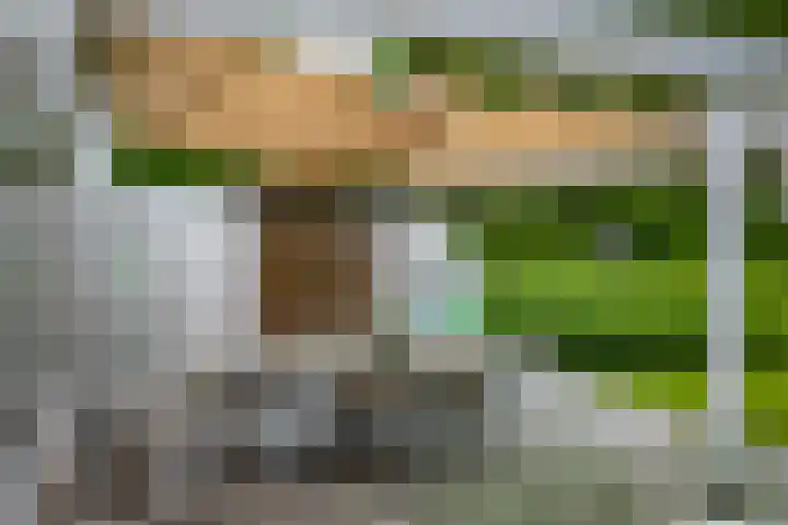 Dellenweg 6 Epe thumbnail 43