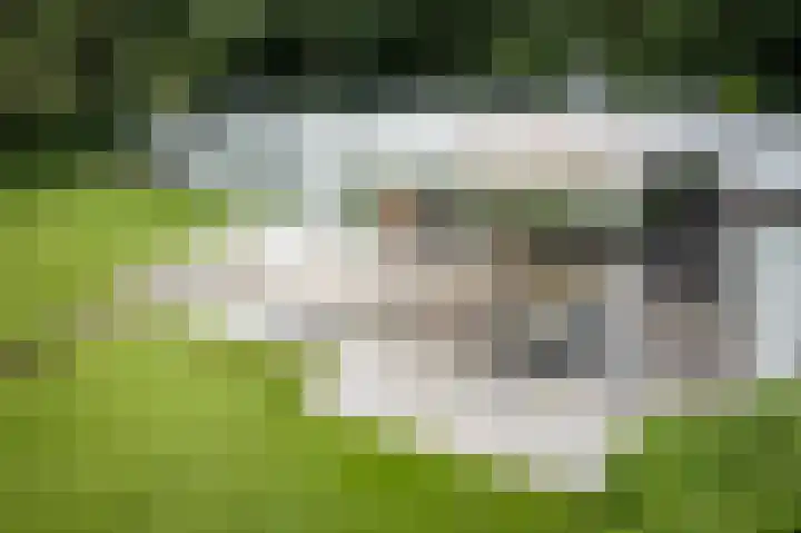 Dellenweg 6 Epe thumbnail 47