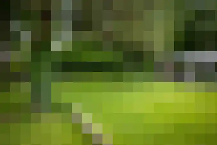 Dellenweg 6 Epe thumbnail 50